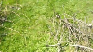 ⚫Садовый измельчитель | Самодельный измельчитель для веток