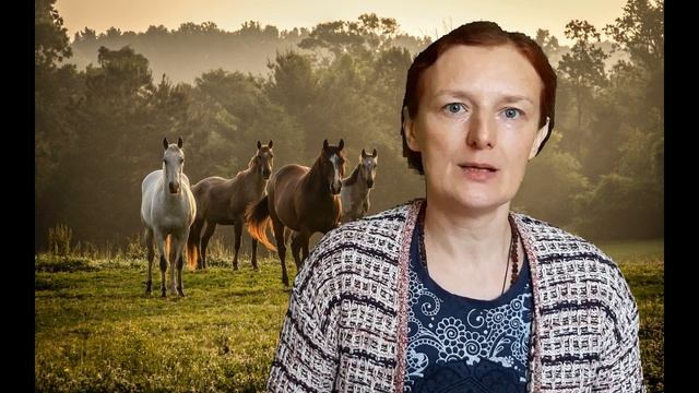 Энергия и пища. Энергия пищи. Чёрная магия в еде. смотреть онлайн