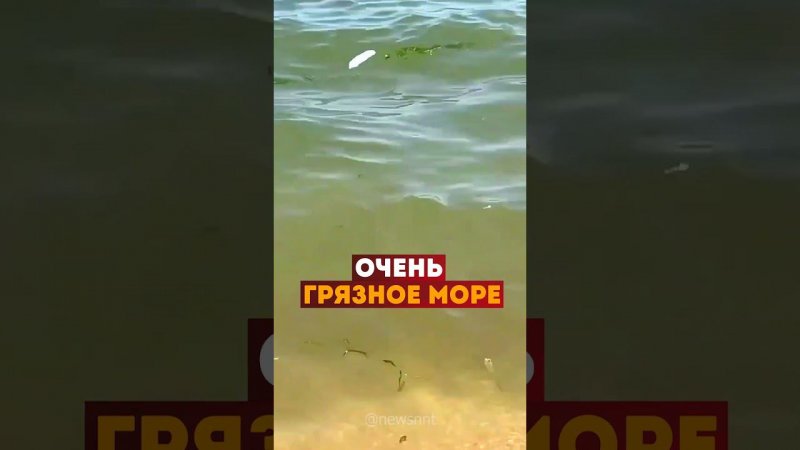 Грязное море