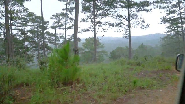 ດາລັດ ดาลัด DALAT - VIETNAM ( Namkoima) смотреть онлайн