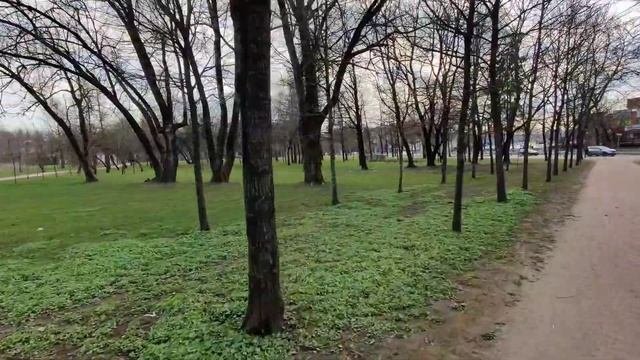 Красносельский район Санкт-Петербурга