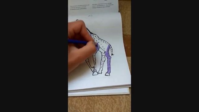 Рисую жирафа на коленке вот что у меня получилось за 5 минут смотреть онлайн