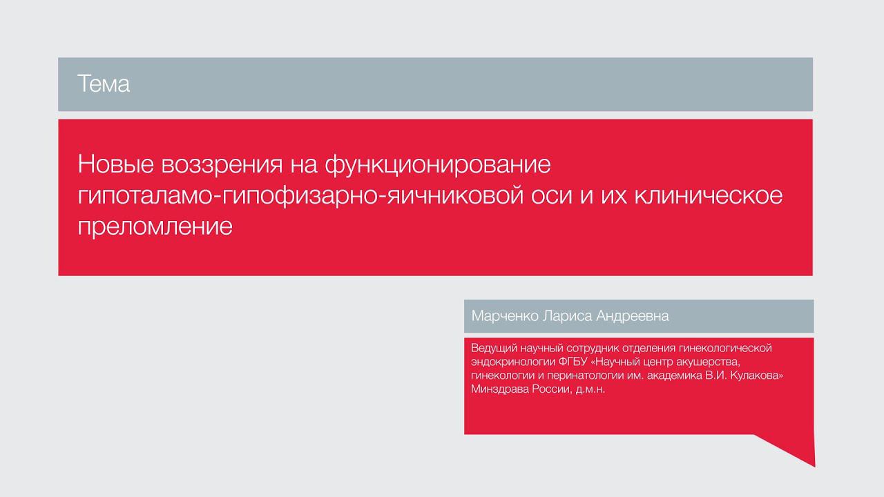 Лекция 