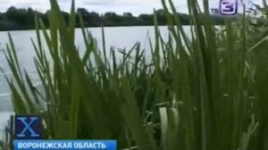 большая чупакабра переплыла через реку дон