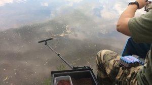 Фидерная рыбалка. Щука на фидер. Москва река - Бронницы.