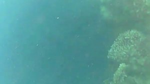 Голубая лагуна Дахаб