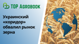 Украинский «коридор» обвалил рынок зерна. TOP Agrobook: обзор аграрных новостей