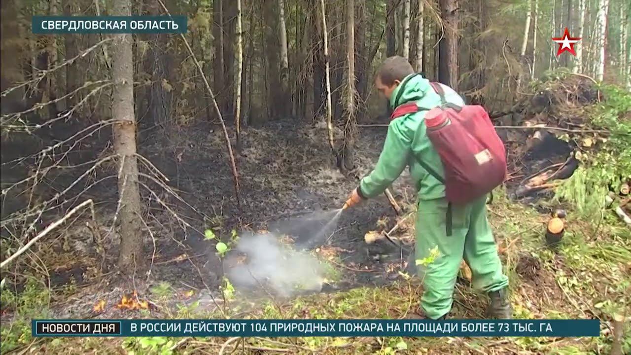 В России за сутки потушили 60 природных пожаров