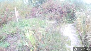 Вехи 10  Рубеж Ижора вокруг метро Московская часть 4