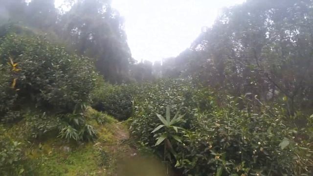 Обойти планету Земля(путешествие); Around the world(travel to Asia) смотреть онлайн