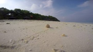 Reethi Beach Resort, Baa Atoll Maldives