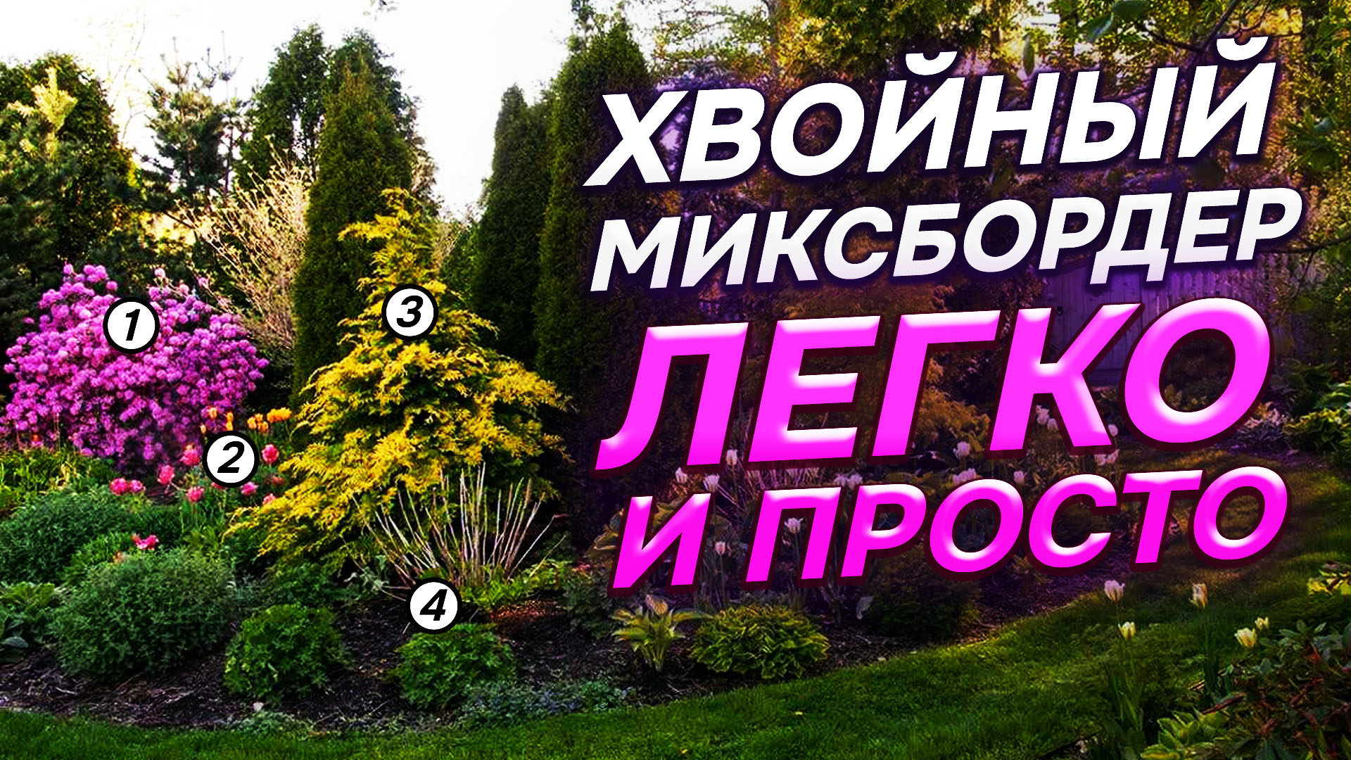 💥29 хвойных для 6 СОТОК: в чем СЕКРЕТ гармоничных композиций?