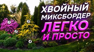 💥29 хвойных для 6 СОТОК: в чем СЕКРЕТ гармоничных композиций?
