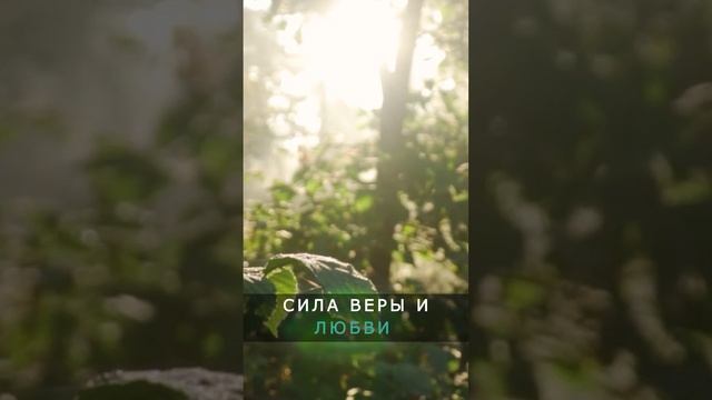 Что значит верить люби и прощай4.mp4