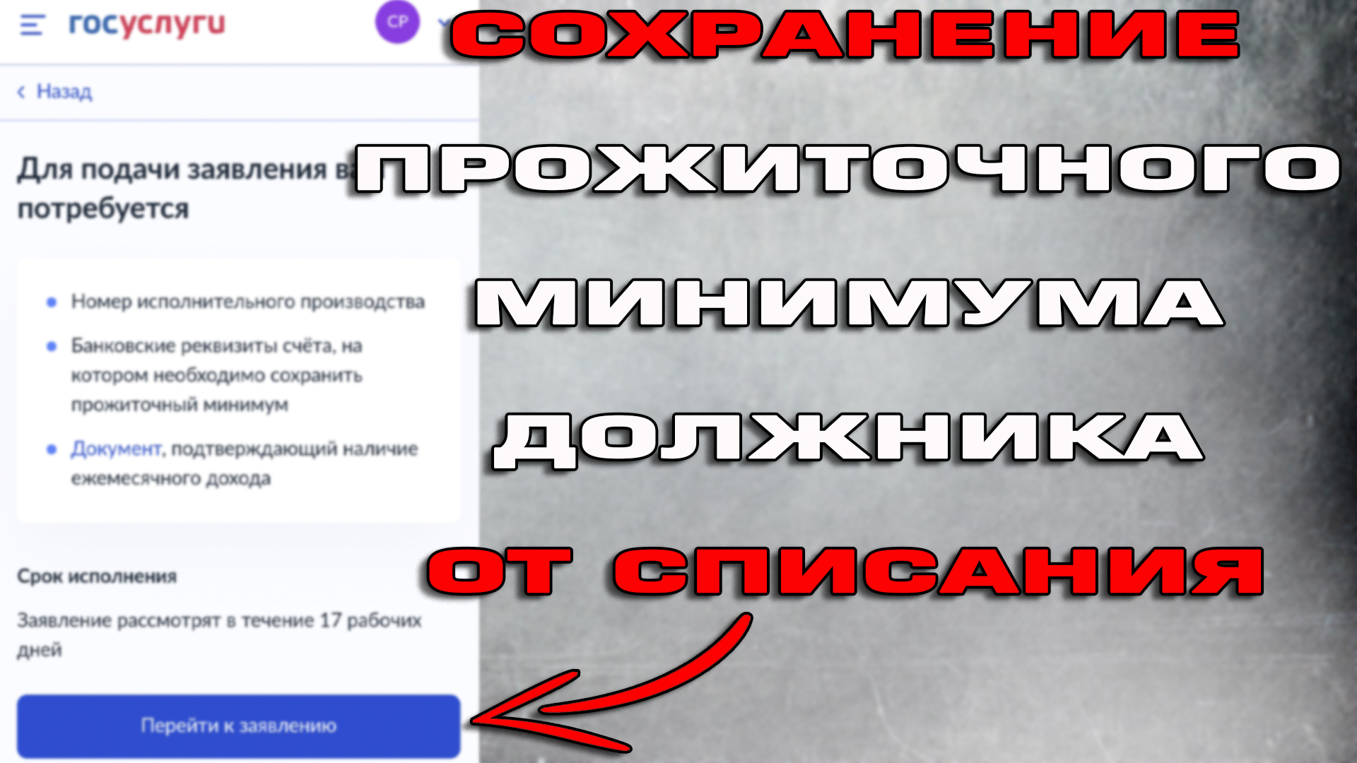 Как написать заявление приставам о сохранении прожиточного минимума на госуслугах образец пенсионера