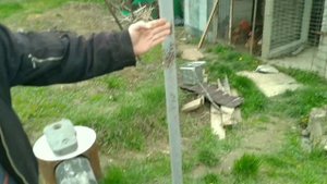 самодельная коптильня из бочки трубы и бамбука, просто за копейки