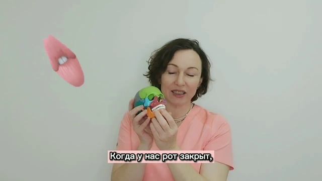 Красота лица & кости черепа