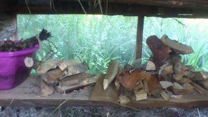 каркасная баня по чёрному