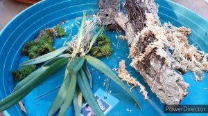 Орхидеи. Как посадить орхидею на блок. Влагоемкий блок для орхидей.