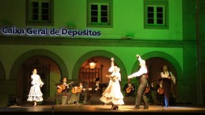 Andalusian folk dance: Fandango regional