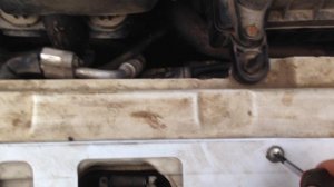 Не работает звуковой сигнал в приоре, калине, гранте, ВАЗ