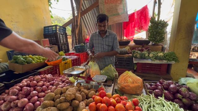India, Varkala / Фиш-рынок или ресторан? Конфуз на рынке/Индийский огурец नाशपाती смотреть онлайн