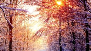 Музыка для души.........(Сергей Грищук)