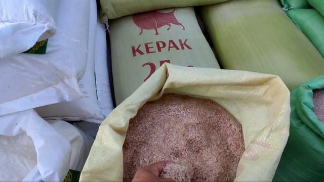 ХАЗАРАСП ЕМ ХАШАК ЯНГИ НАРХЛАРИ КАНДАЙ БУ́ЛЯПТИ 3 МАРТА 2024