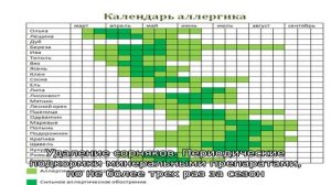 Компактная альпийская гвоздика на вашей альпийской горке: что нужно знать о выращивании цветка