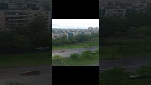 Покос травы в СПб