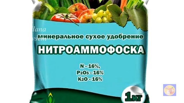 ОЧЕНЬ ВАЖНАЯ ПЕРВАЯ ПОДКОРМКА КЛУБНИКИ ВЕСНОЙ
