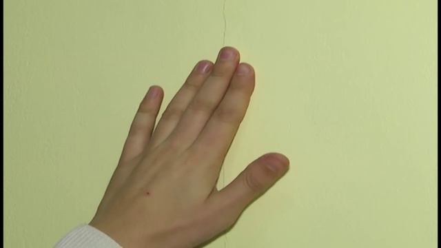 24 11 2015 синий кит спустя год после открытия смотреть онлайн