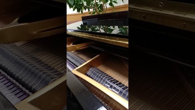 Торжественный марш смотреть онлайн