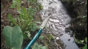 Работа насоса  STERWINS  53112V