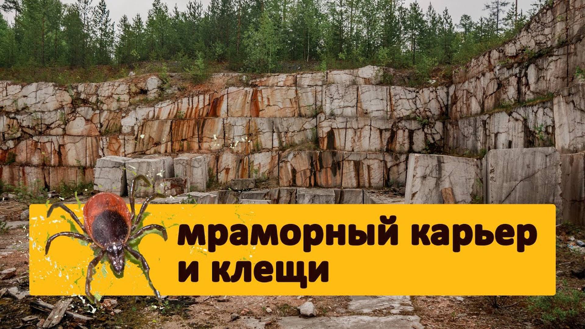 Заброшенный мраморный карьер, велопокатушка, встреча с клещами, 60 км по лесу