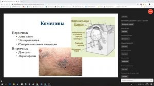 Методы диагностики и лечения животных с патологиями кожи. Меликова Ю.Н.