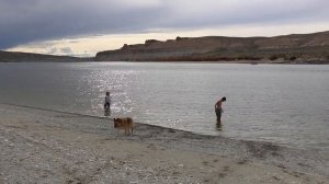 NEW TRD Pro Camper Shell & Offroad Teardrop Living - Arapahoe To Flaming Gorge