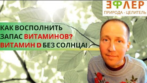 Как ПОВЛИЯТЬ на ПРОЦЕСС ВИТАМИНИЗАЦИИ? ВИТАМИНЫ – ВЕЩЕСТВА  Которые Даёт МИКРОБИОТА?Витамины D, B12
