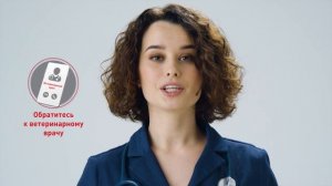 Корм ROYAL CANIN SATIETY WEIGHT MANAGEMENT для кошек контроль веса в Magizoo.ru