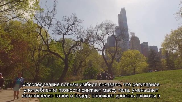 Ученые объяснили, как есть имбирь, чтобы сжечь жир на животе смотреть онлайн