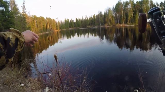 Язь, окунь на спиннинг удочку и донку . Жарим окуня, вечер у костра. смотреть онлайн