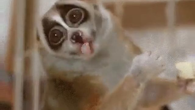 Жрать на ночь вредно. Но так фкусненька. смотреть онлайн