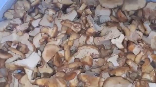 ЖАРЕНЫЕ ЛЕСНЫЕ ГРИБЫ. КАК ПРИГОТОВИТЬ ГРИБЫ ЛИСИЧКИ смотреть онлайн