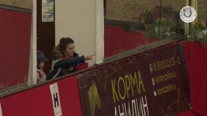 В КСК «Измайлово» состоялся всероссийские соревнования по конкуру и выездке на пони