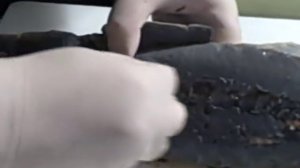 Как чистить и фаршировать стерлядь и осетра?.AVI