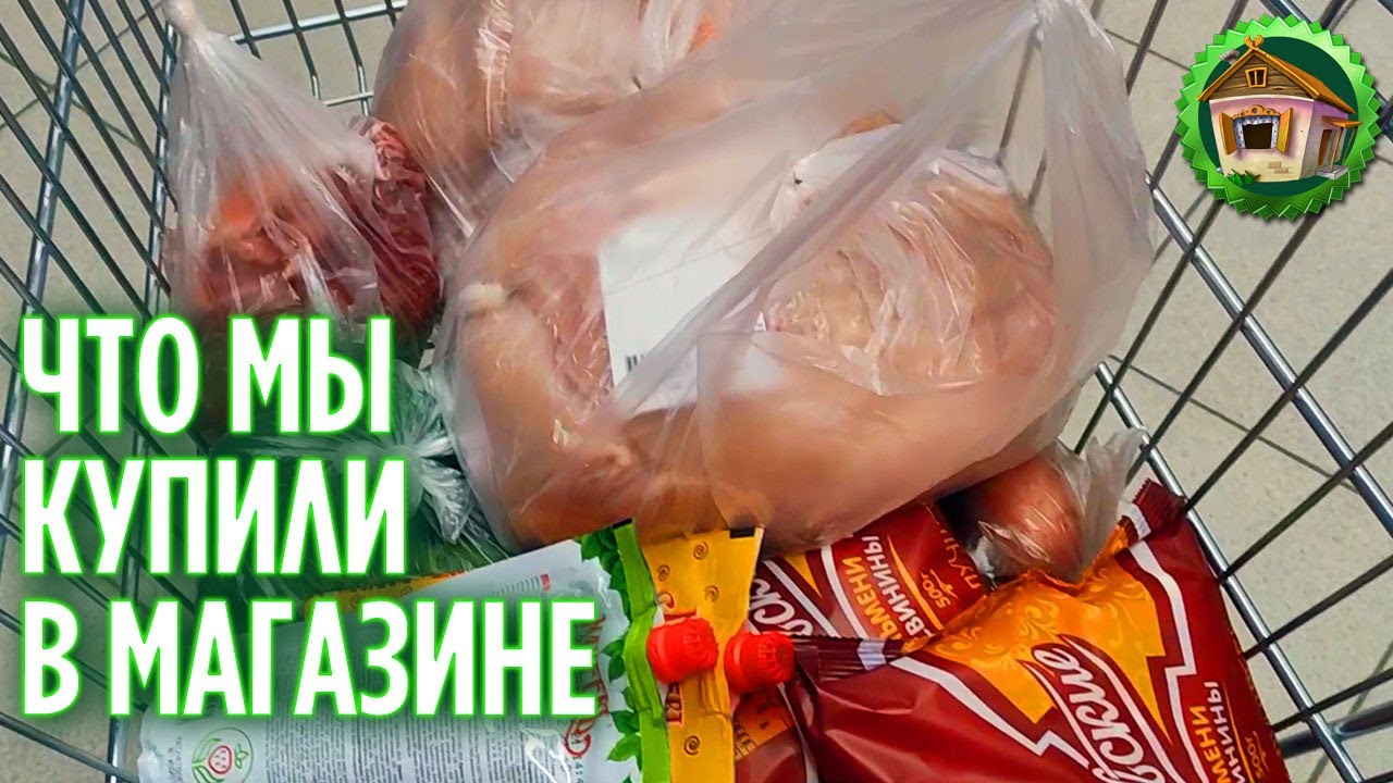 Покупка продуктов в магазине. Покупаем еду. 169 серия
