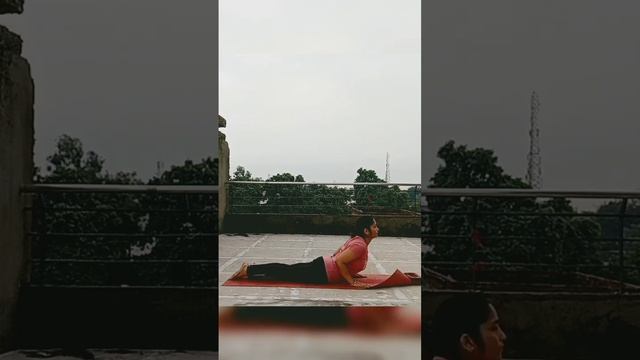 Bhujangasana | Cobra Pose | #yoga