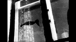 1977 году жители Петрозаводска явились свидетелями необычного феномена