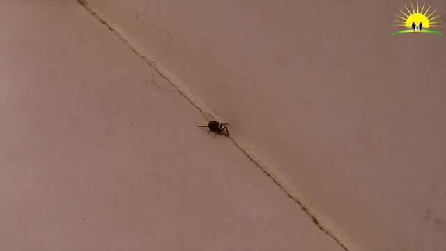 Акция Чистый четверг №3 смотреть онлайн