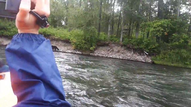 Камчатка, Эссо август 2018(7) смотреть онлайн